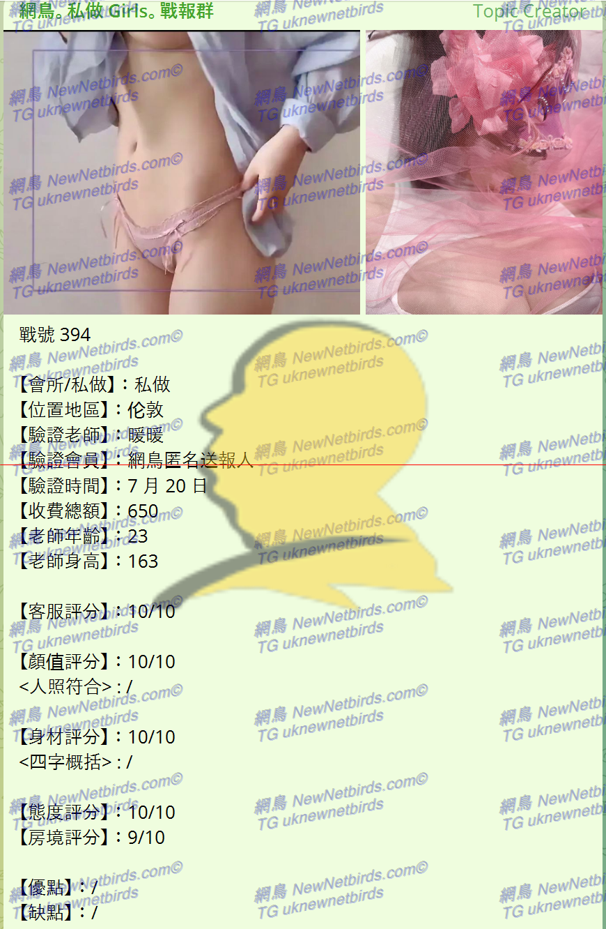 戰號 394 1.png